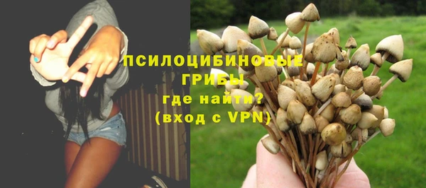молекула духа Беломорск