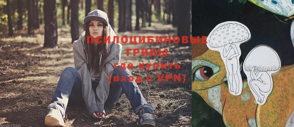 apvp Белокуриха