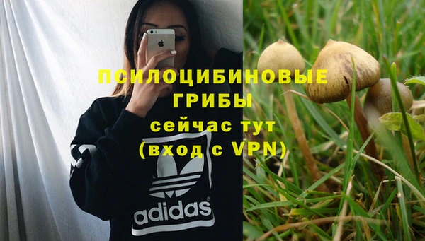 apvp Белокуриха
