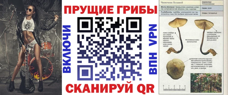 Галлюциногенные грибы ЛСД  где можно купить   hydra онион  даркнет как зайти  Елизаветинская 